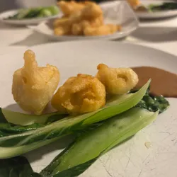 Tofu Tempora