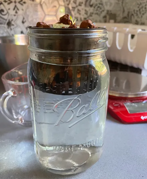 Lettuce sitting in jar